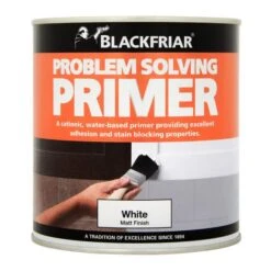 Problem Solving Primer 1L