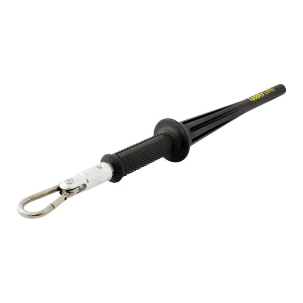 Ladderlimb 1 Ladderlimb